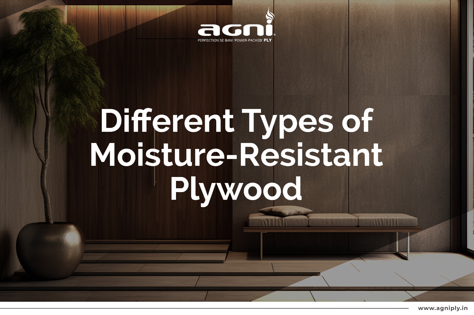 Different Types of Moisture-Resistant Plywood - Agniply