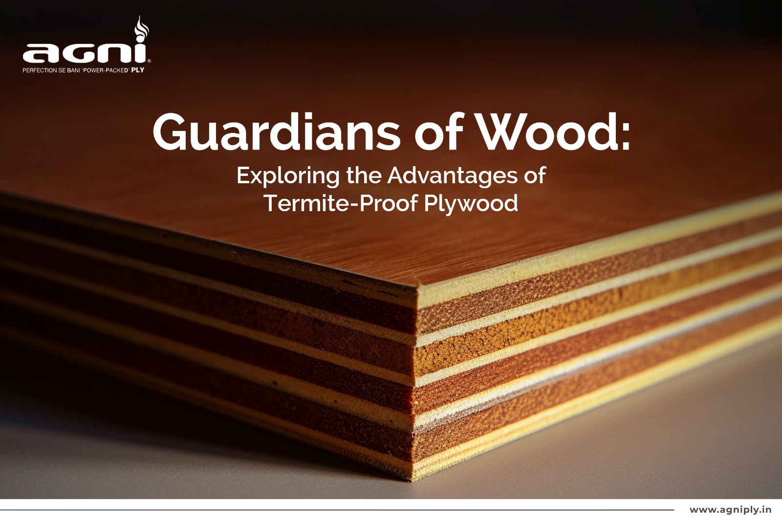 Best Plywood Manufacturers in India